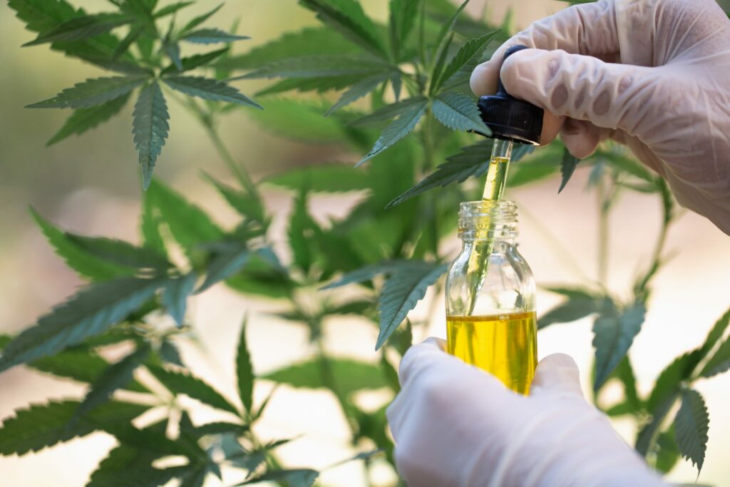 Hemp Oil Drug Test Failure Is Highly Unlikely