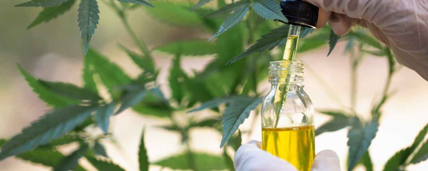 Hemp Oil Drug Test Failure Is Highly Unlikely